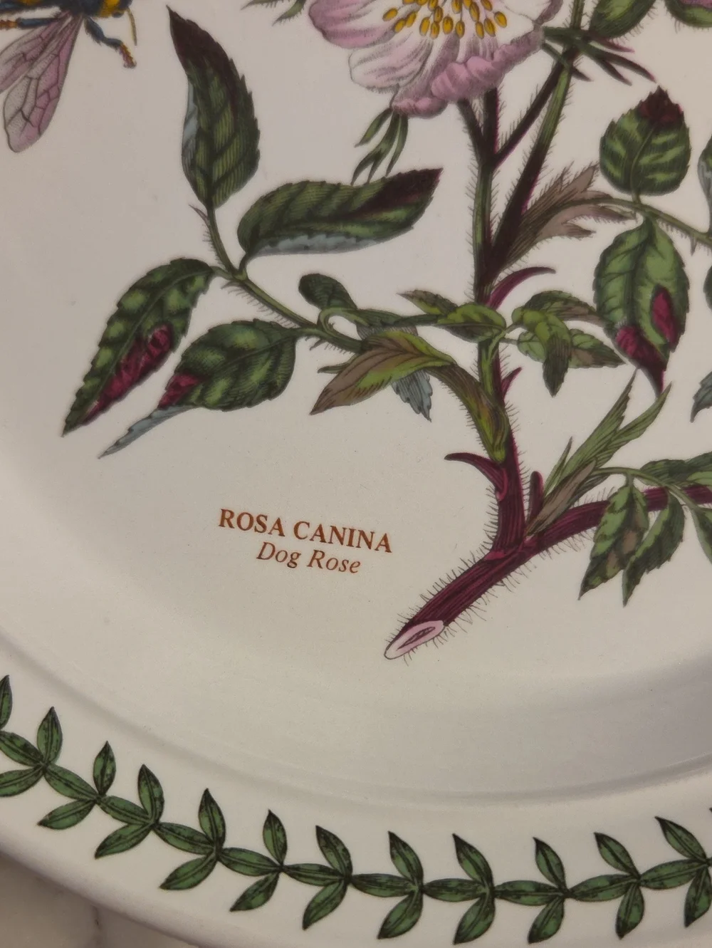 Vintage Portmeirion The Botanic Garden Floral Salad Plates 1972 | Britian Set 4